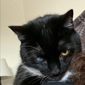 Meet your Posher, Rita